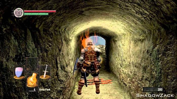 dark souls fire