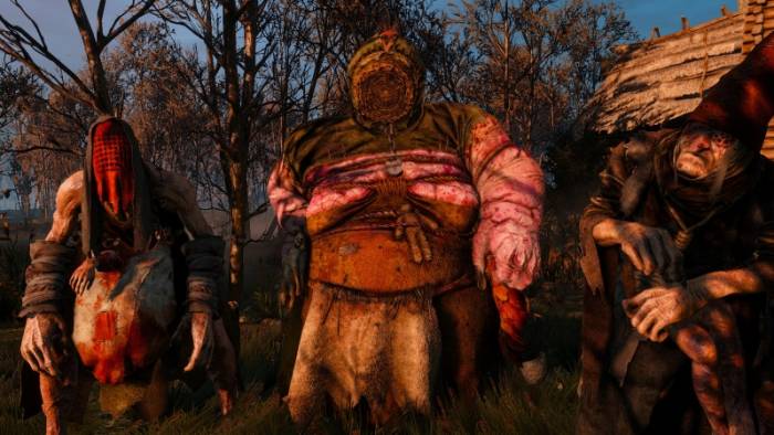 Witcher 3 Crones