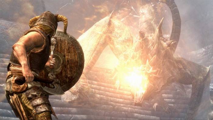 Skyrim video game PC